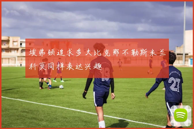 埃弗顿追求多夫比克那不勒斯米兰科莫同样表达兴趣