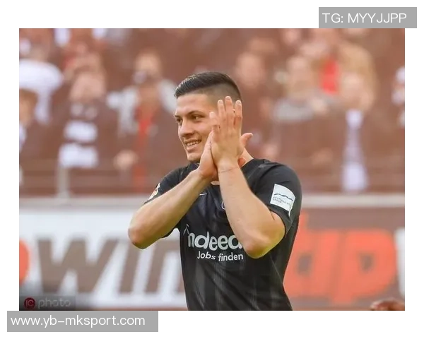 约维奇四年合同总值6240万第一年薪资1620万中间两年略微调整 约维奇四年合同总值6240万第一年薪资1620万中间两年略微调整